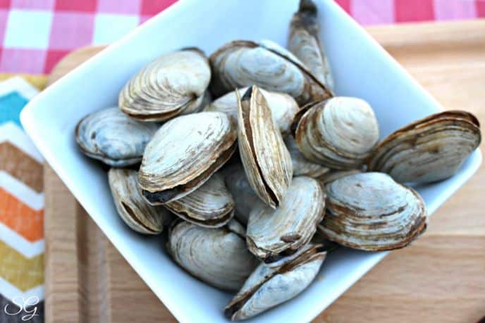 New England Steamers, Steamed Clams