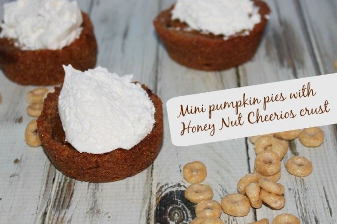Mini Pumpkin Pie Recipe with a Honey Nut Crust