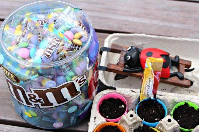 Easter Egg Hunt with M&M's® and Reusing Plastic Eggs for Planting Seeds