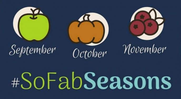 SoFabSeasons Pumpkin Post Ideas