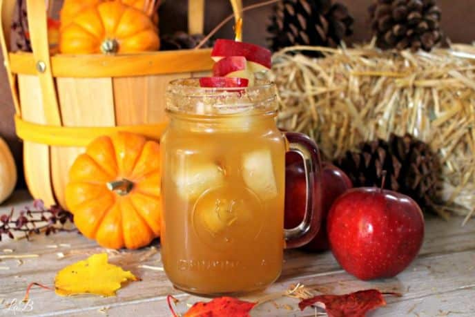 Spiked Fizzy Apple Cider, Easy fizzy apple cider mixed drink recipe