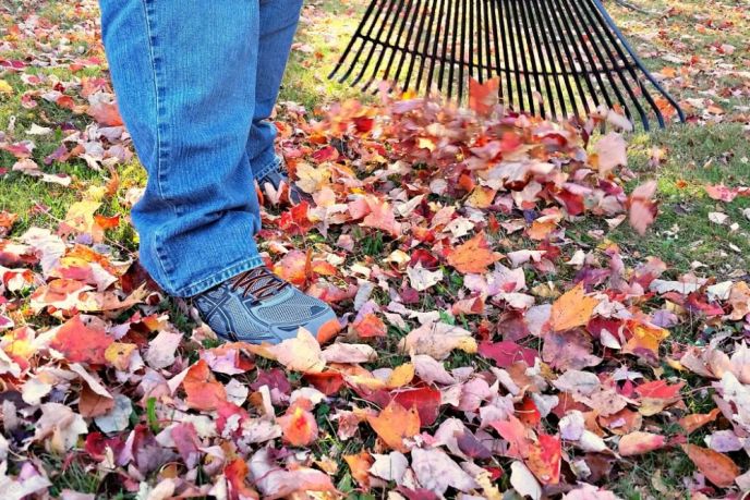 Fall Maintenance Checklist Raking Leaves