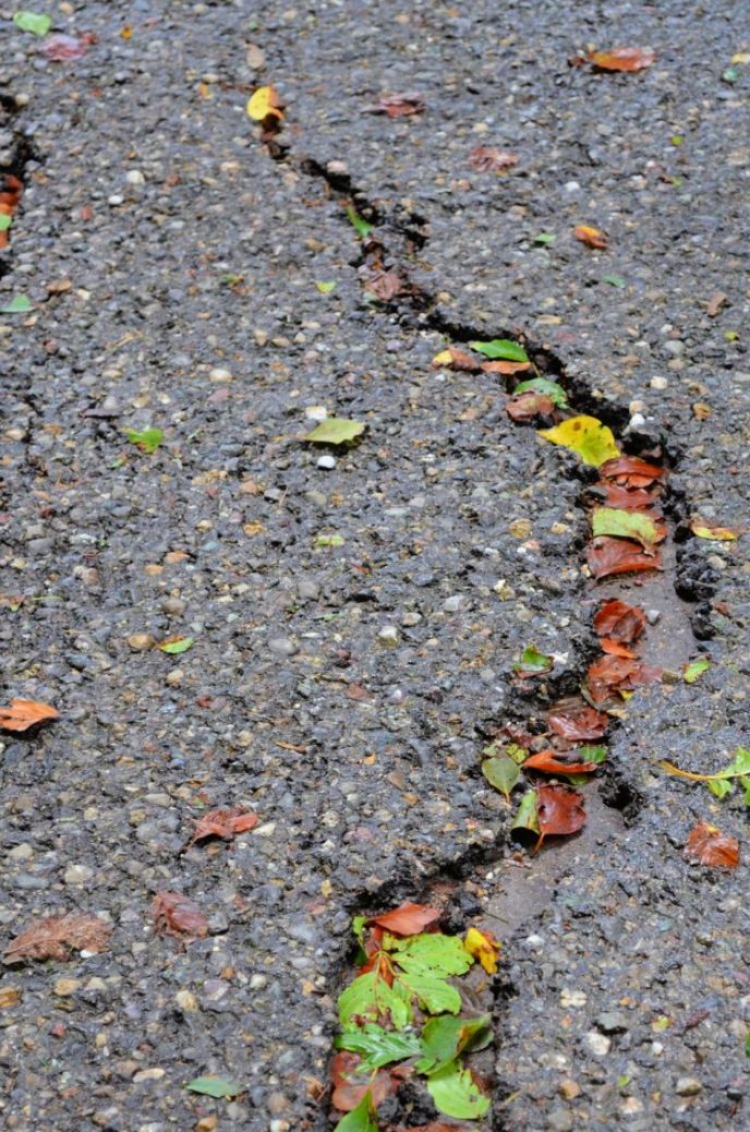 Fix A Cracked Driveway Cracked Pavement Driveway and How To Fix It